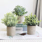 Set of 3 Faux Potted Plants