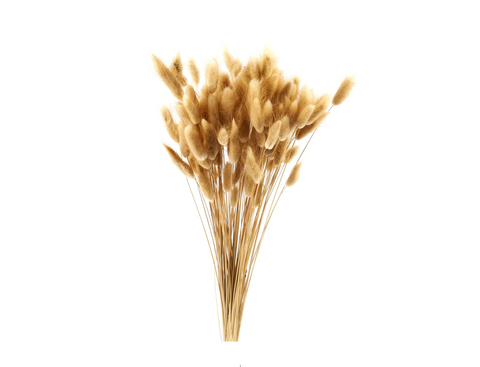floral stems and greenery for dried stems and florals.